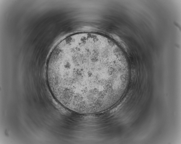 X0000096691421200803041251