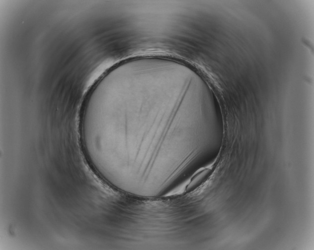 X0000096691422200803041251