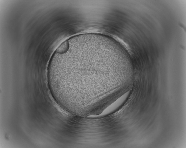 X0000096691423200803041251