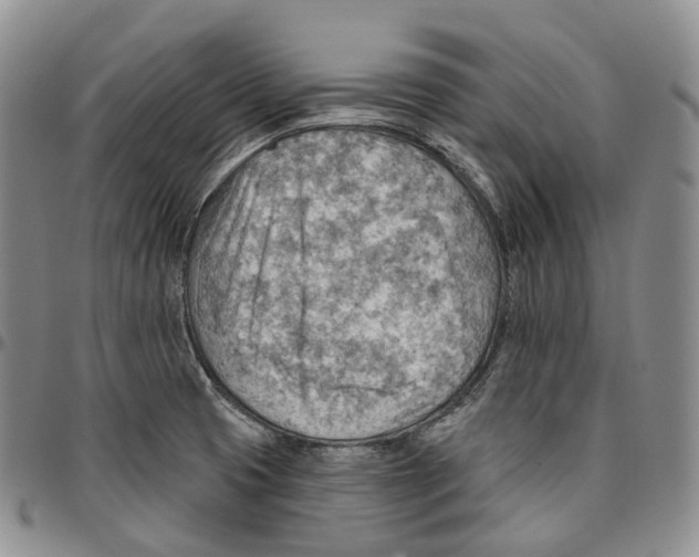 X0000096691425200803041251