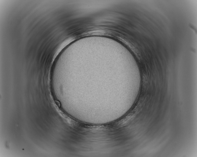 X0000096691426200803041251