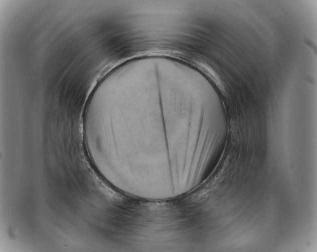 X0000096691428200803041251