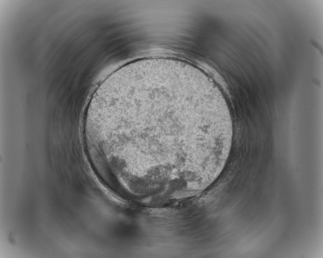 X0000096691429200803041251