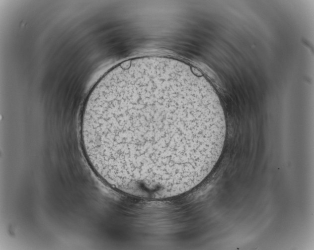 X0000096691430200803041251