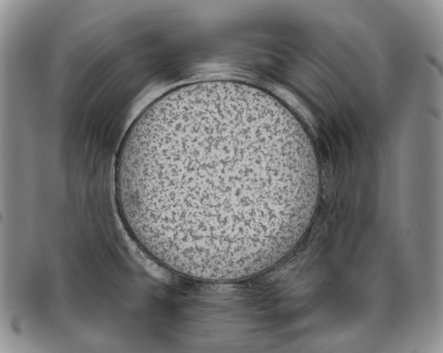 X0000096691431200803041252