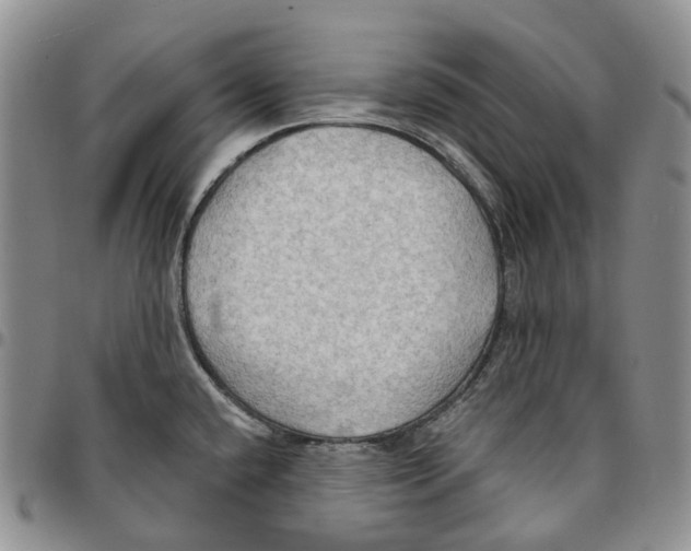 X0000096691432200803041252