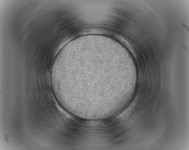 X0000096691433200803041252