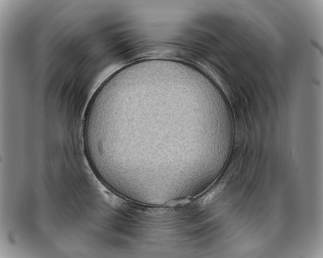 X0000096691434200803041252