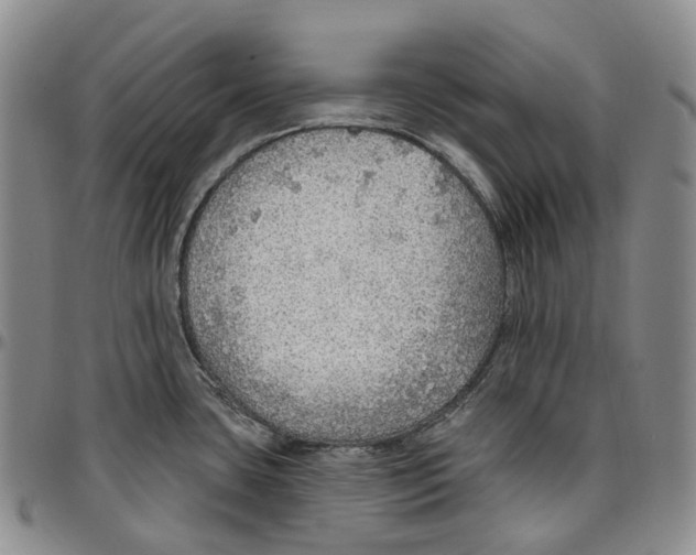 X0000096691435200803041252