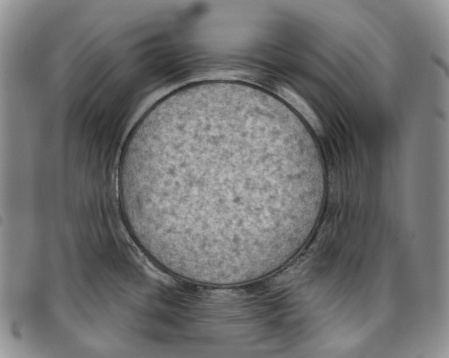 X0000096691436200803041252