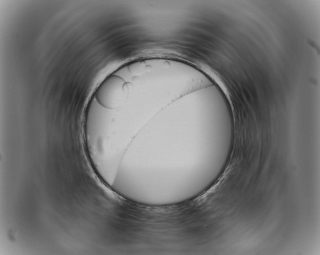 X0000096691437200803041252