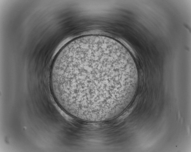 X0000096691438200803041252