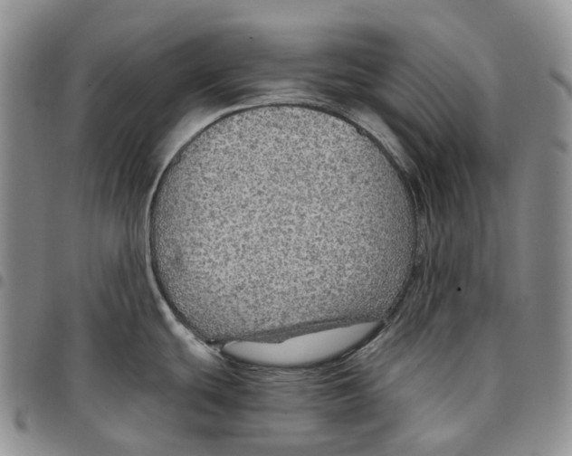 X0000096691439200803041252