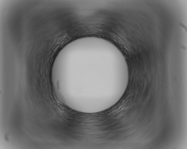 X0000096691441200803041251