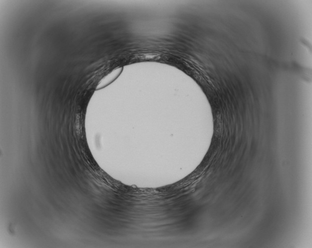 X0000096691442200803041251