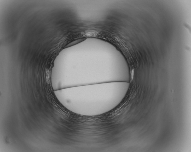 X0000096691443200803041251