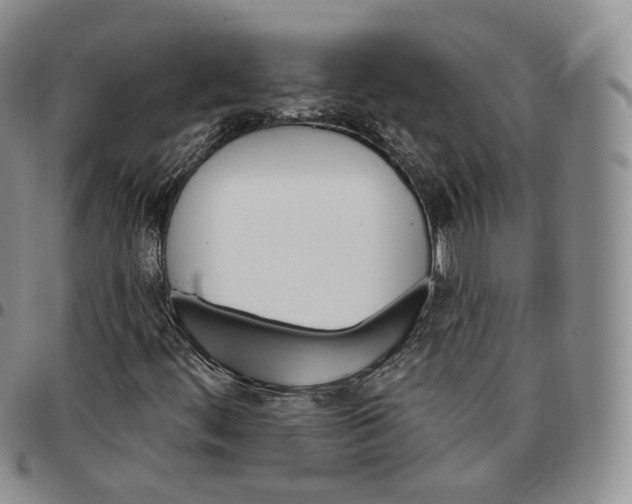 X0000096691444200803041251