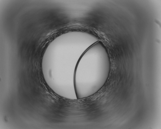 X0000096691445200803041251