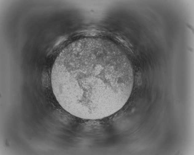 X0000096691446200803041251