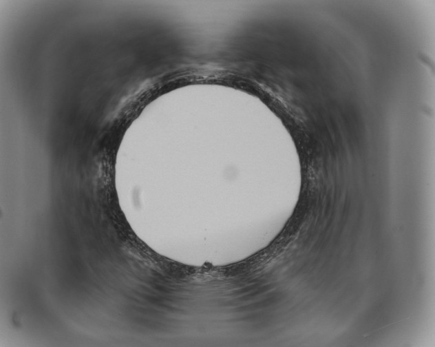 X0000096691447200803041251