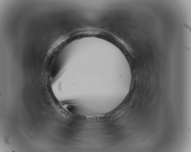 X0000096691448200803041251