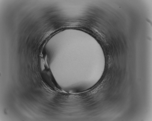 X0000096691449200803041251