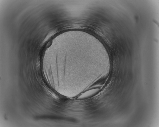 X0000096691450200803041251