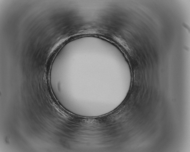 X0000096691452200803041251