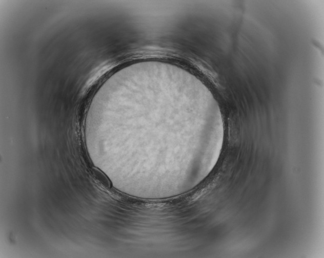 X0000096691453200803041251