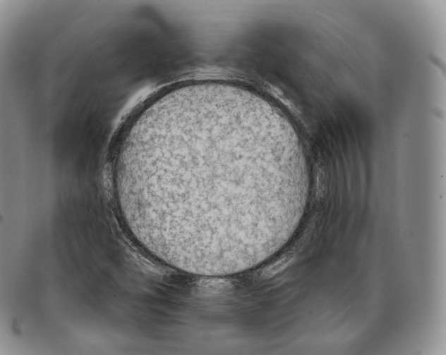 X0000096691454200803041251