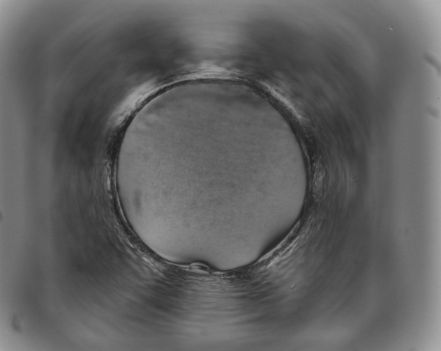 X0000096691455200803041251