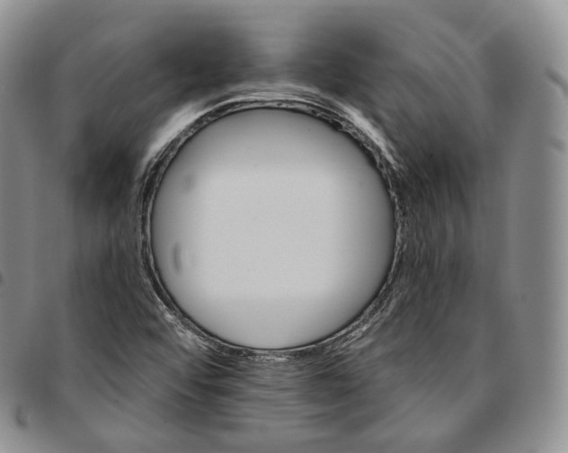 X0000096691456200803041251