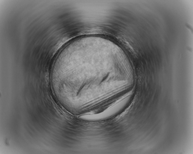 X0000096691457200803041251