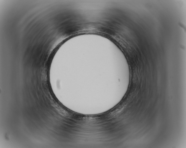 X0000096691458200803041251