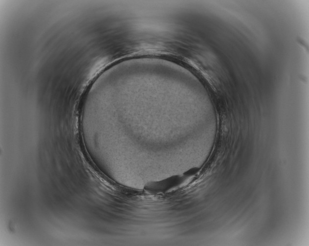 X0000096691459200803041251