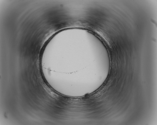 X0000096691460200803041251