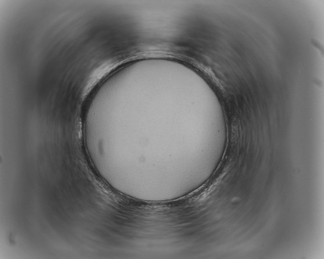 X0000096691461200803041251