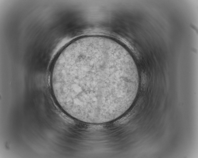 X0000096691462200803041251