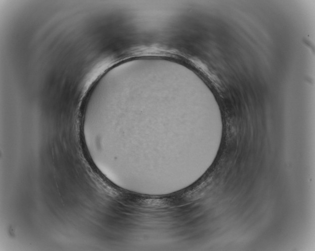 X0000096691463200803041251