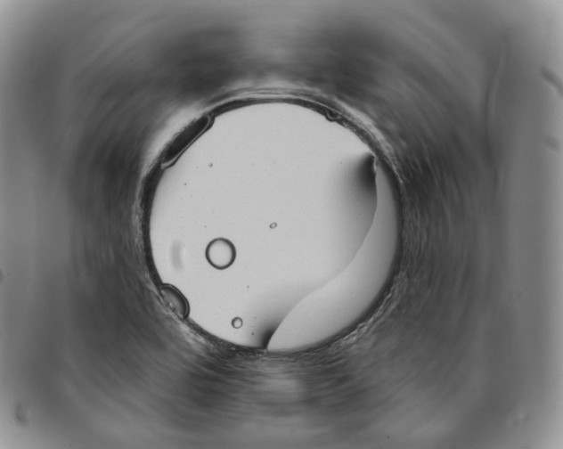 X0000096691464200803041251