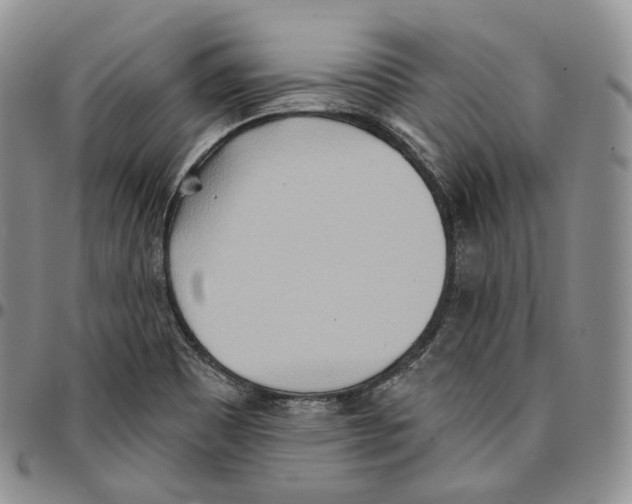 X0000096691465200803041251