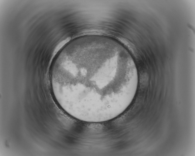 X0000096691466200803041251