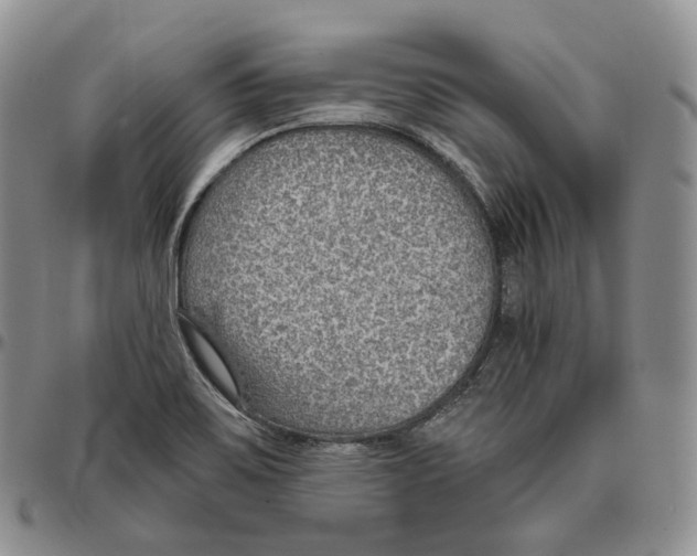 X0000096691467200803041251