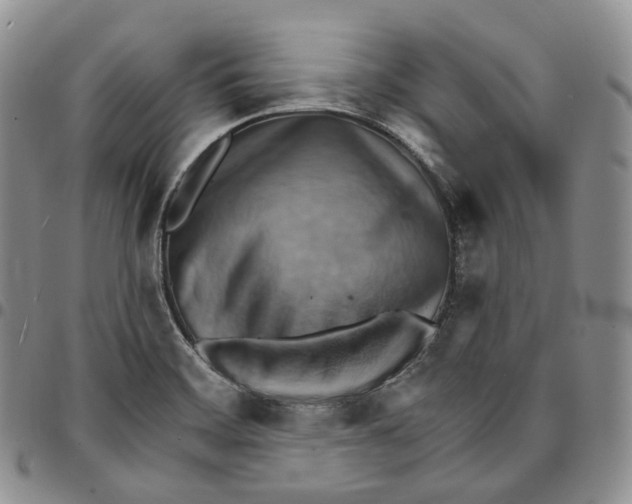 X0000096691468200803041251