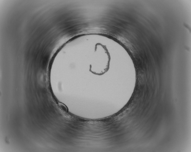 X0000096691469200803041251