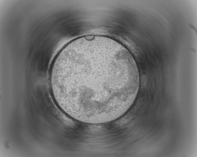 X0000096691470200803041251