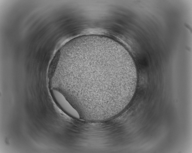 X0000096691471200803041251