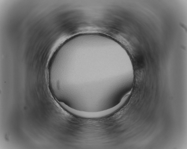 X0000096691472200803041251