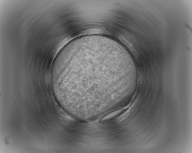 X0000096691473200803041251