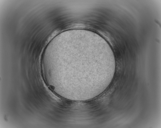 X0000096691475200803041251